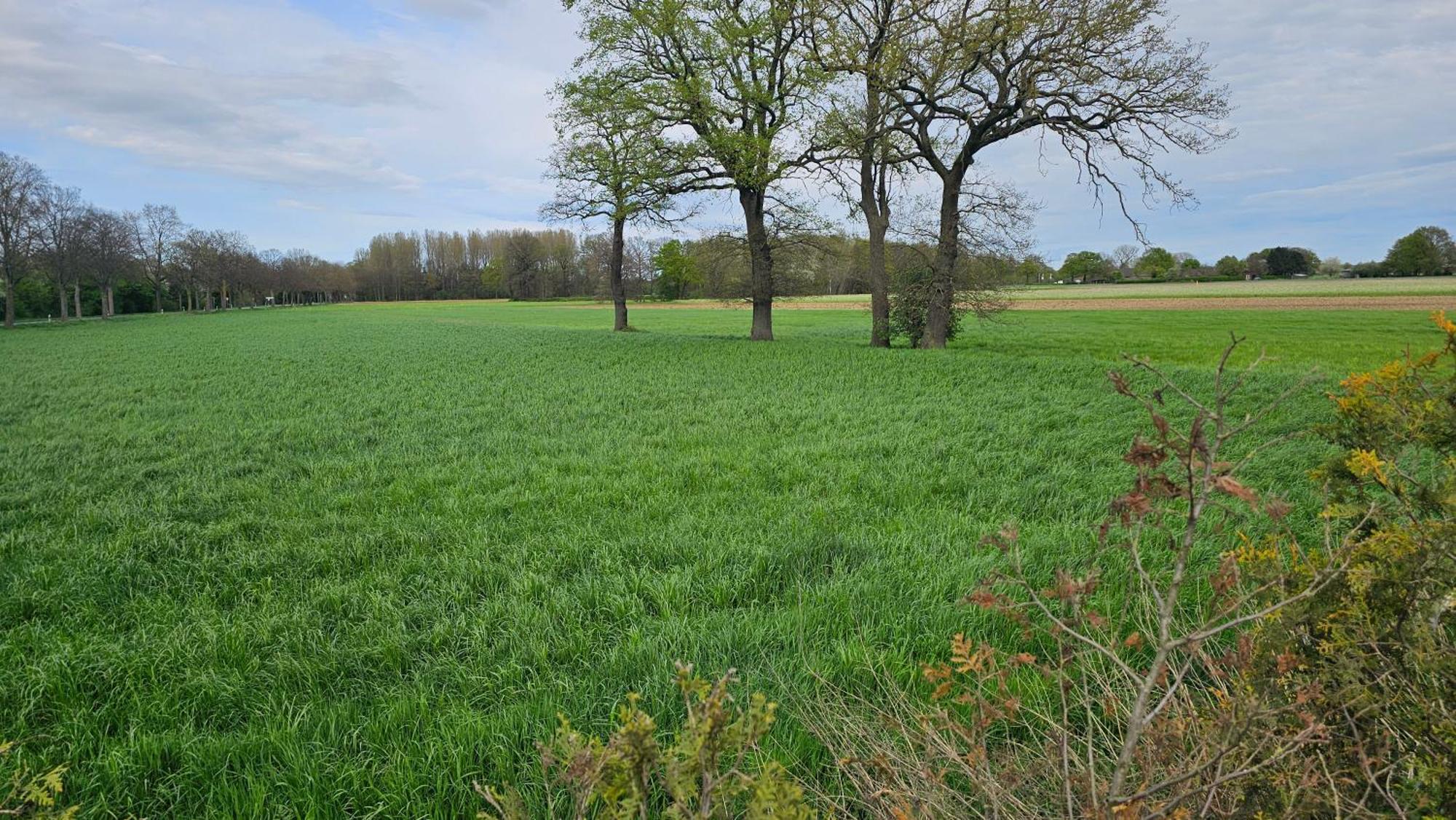 Bed and Breakfast La Melis Geldern Esterno foto
